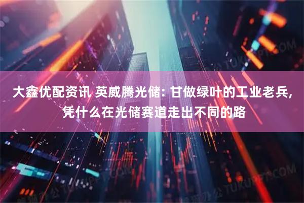 大鑫优配资讯 英威腾光储: 甘做绿叶的工业老兵, 凭什么在光储赛道走出不同的路
