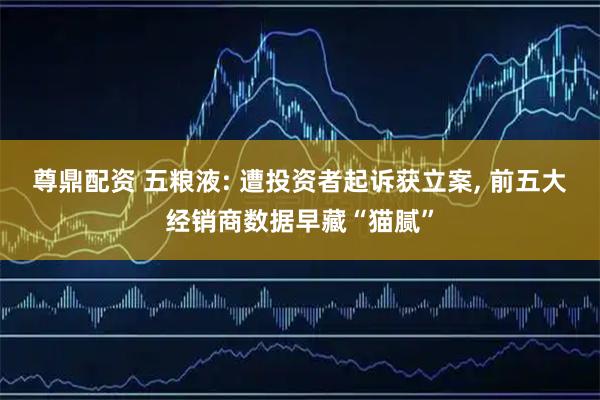 尊鼎配资 五粮液: 遭投资者起诉获立案, 前五大经销商数据早藏“猫腻”