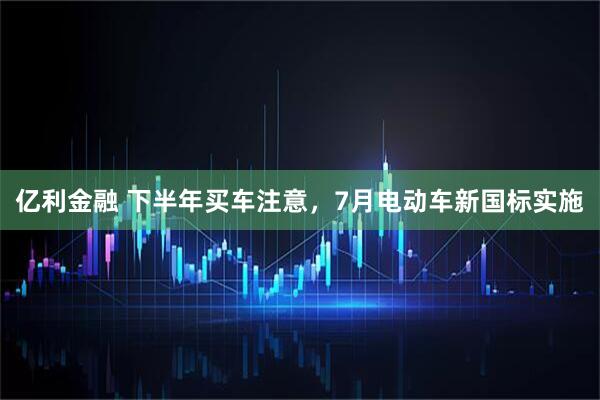 亿利金融 下半年买车注意，7月电动车新国标实施