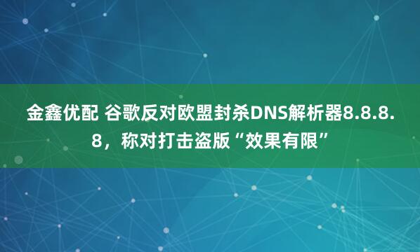 金鑫优配 谷歌反对欧盟封杀DNS解析器8.8.8.8，称对打击盗版“效果有限”