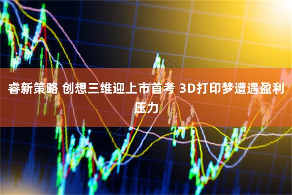 睿新策略 创想三维迎上市首考 3D打印梦遭遇盈利压力