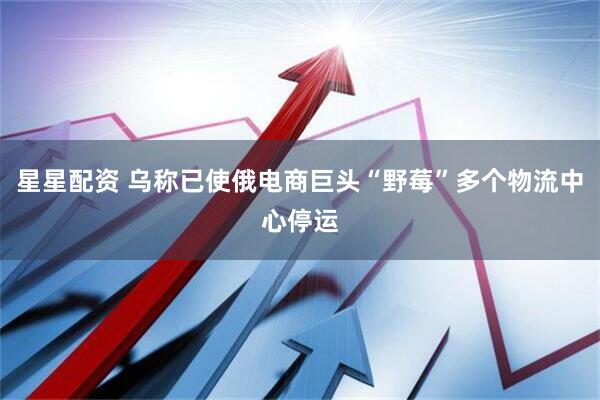 星星配资 乌称已使俄电商巨头“野莓”多个物流中心停运